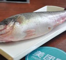 Sea Bass