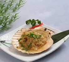 Scallop