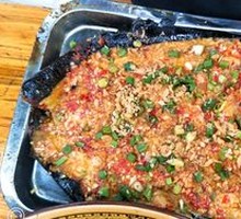 Eggplant