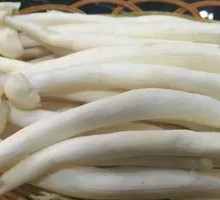 Seafood Mushroom