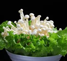 Enoki Mushroom