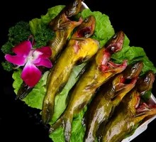 Freshly Caught Yellow Catfish