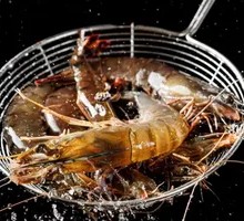 Fresh Large Shrimp