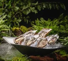 Latitude 39 Cold Water Oyster