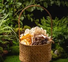 Mushroom Assortment Platter