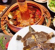 PanYang Lake Turtle