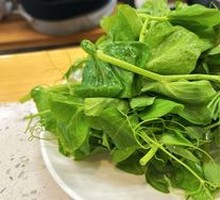 Pea Shoots