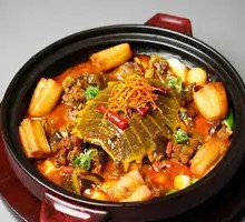 Secret-Recipe Giant Turtle