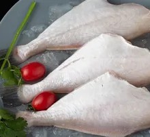 Snakehead Fish