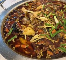Freshly Killed Mountain Chicken