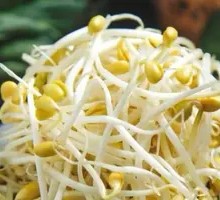 Bean sprouts