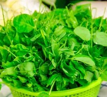 Pea Shoots