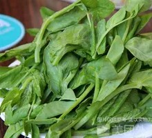 Pea Shoots