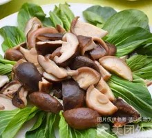 Shiitake Mushroom