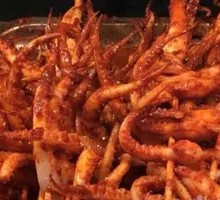Squid Tentacles