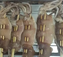 Squid