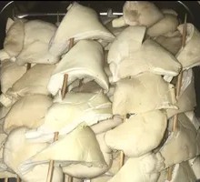 Enoki Mushroom