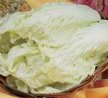 Chinese cabbage