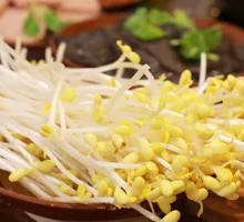 Bean sprouts