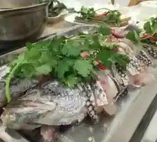 Braised Bighead Carp
