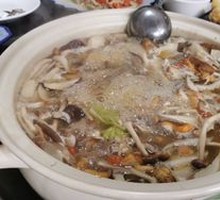 Wild Mushrooms