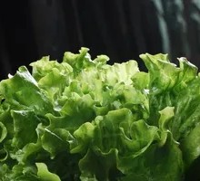 Lettuce