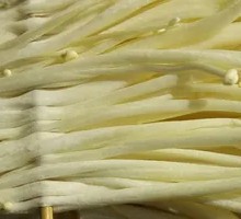 Enoki Mushroom