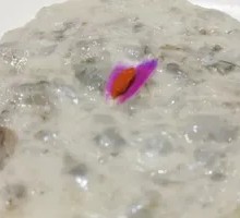 Spicy Black Shrimp Slurry