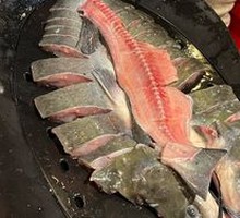 Fresh Live Fish
