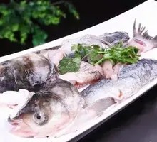 Deep-water Bighead Carp