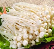 Enoki Mushroom