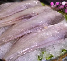 Snakehead Fish