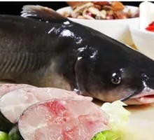 Qian Fish