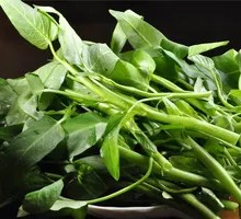 Water spinach