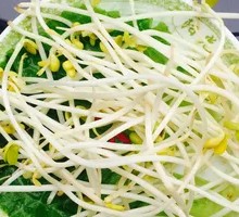 Bean sprouts