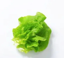 Lettuce