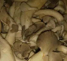 Enoki Mushroom