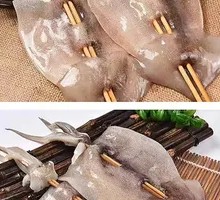 Squid