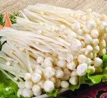 Enoki Mushroom