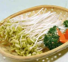 Mung Bean Sprouts