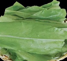 Oilseed lettuce