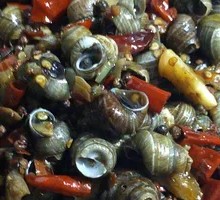 Spicy Water Snail