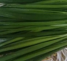 Leek