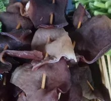 Wood Ear Mushroom