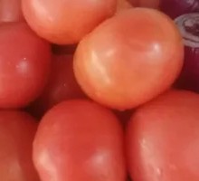 Eggplant