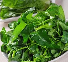 Water spinach