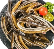 Eel