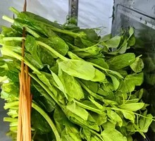 Pea Shoots