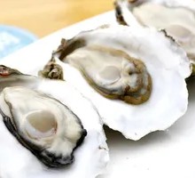 Oyster