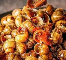 Spicy Water Snail
